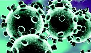 What is Carona Virus? Types of Carona Virus, Threads and Transmission of Disease, Vaccine Updates